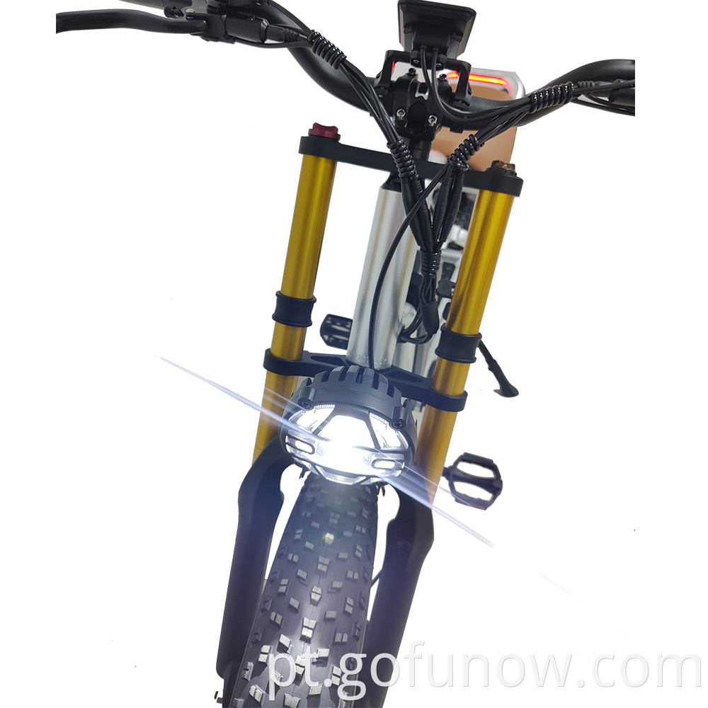 Fábrica 250W 1000W 20 polegadas Bike elétrica de pneu gordo 750W Bateria de íons de lítio Power Fatbike Man Electric Mulher Ebike Woman E Bike